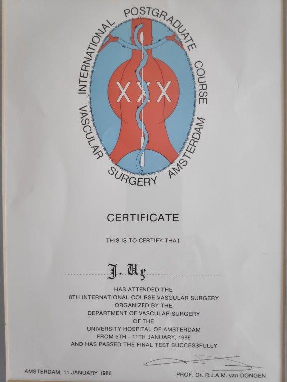 International Postgraduate Course Vascular Surgery - Amsterdam
