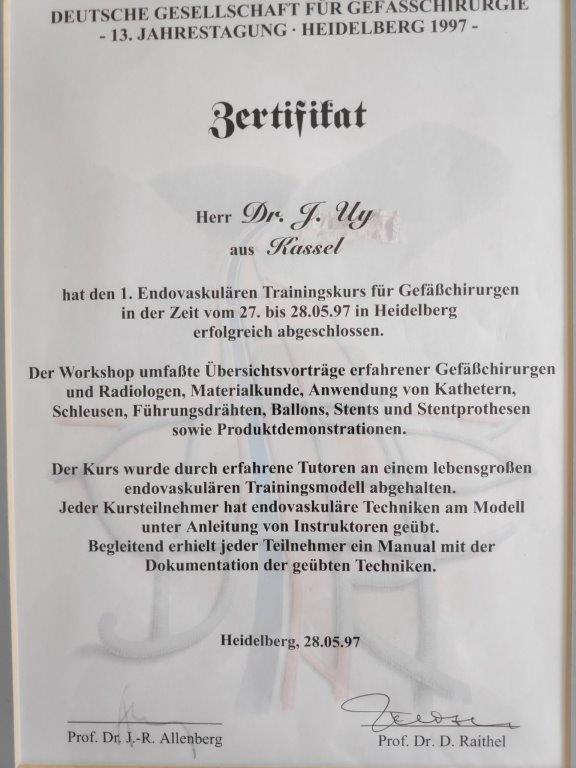 Endovaskulärer Trainingskurs für Gefäßchirurgen - Heidelberg