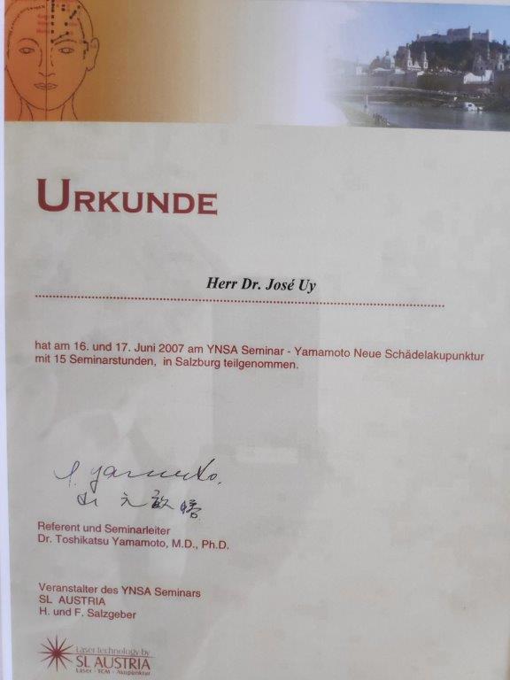 YNSA Yamamoto Schädelakupunktur